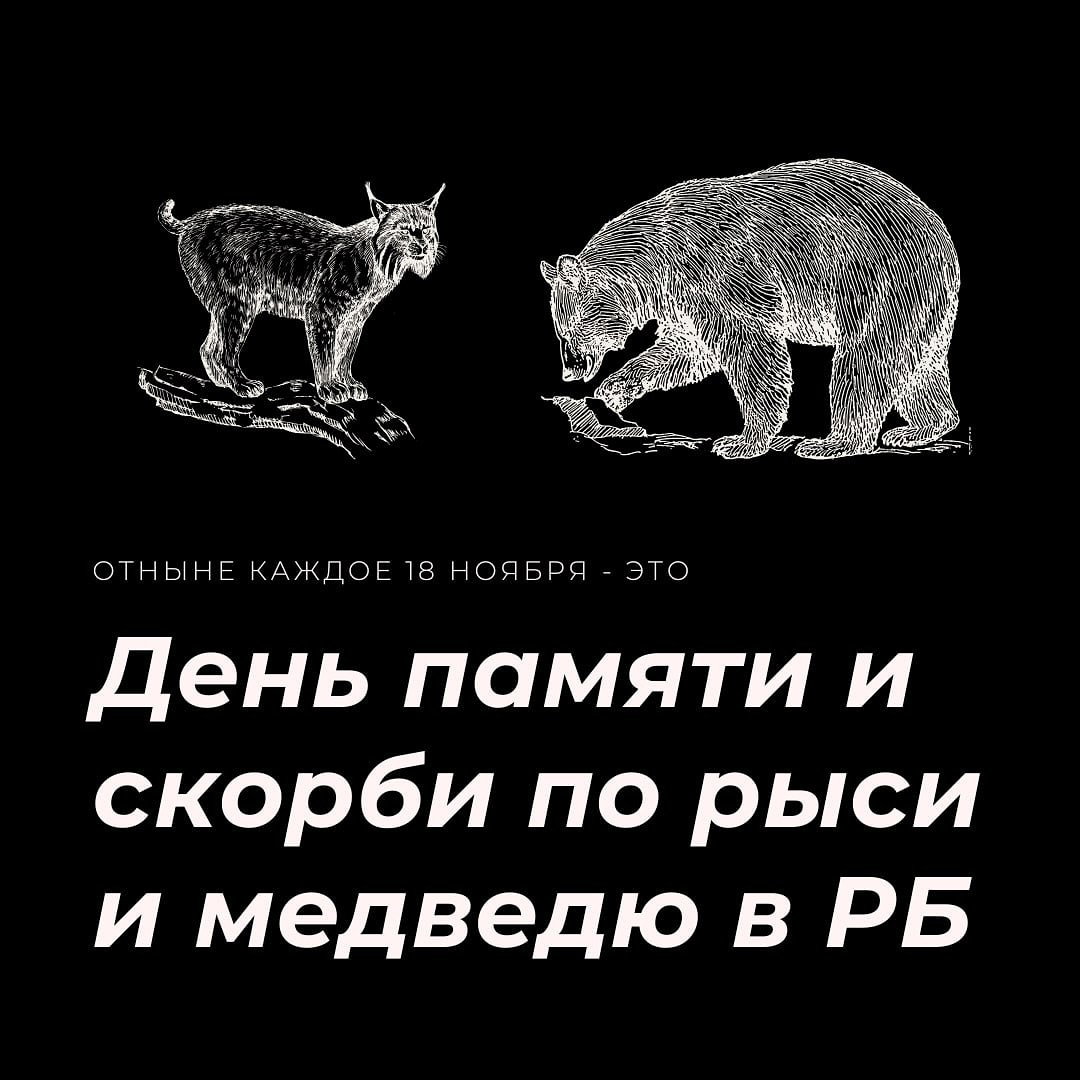 День памяти и скорби по рыси и медведю в РБ